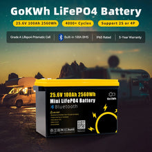 Gokwh 24V 100Ah LCD Energy Storage Box 2560Wh Solar Lithium Ion LiFePO4(LFP) Battery for RV Boat Home Energy Storage