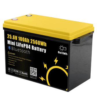 Gokwh 24V 100Ah LCD Energy Storage Box 2560Wh Solar Lithium Ion LiFePO4(LFP) Battery for RV Boat Home Energy Storage