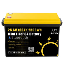Gokwh 24V 100Ah LCD Energy Storage Box 2560Wh Solar Lithium Ion LiFePO4(LFP) Battery for RV Boat Home Energy Storage